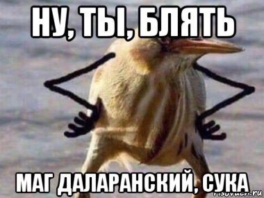 ну, ты, блять маг даларанский, сука
