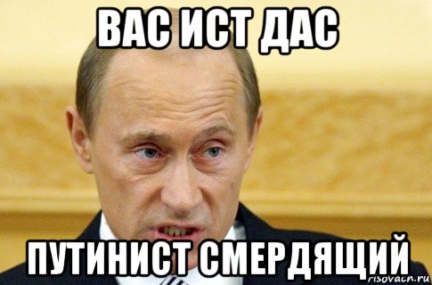 вас ист дас путинист смердящий, Мем путин