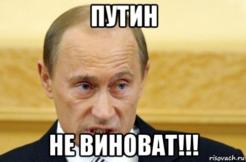 путин не виноват!!!, Мем путин