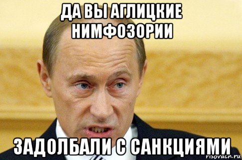 да вы аглицкие нимфозории задолбали с санкциями, Мем путин