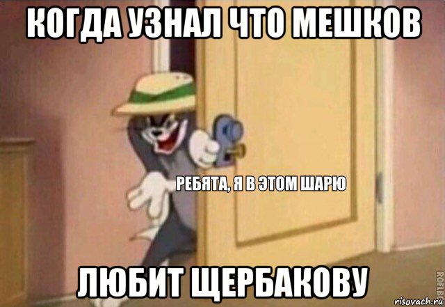 когда узнал что мешков любит щербакову, Мем    Ребята я в этом шарю