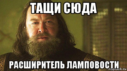 тащи сюда расширитель ламповости, Мем Роберт Баратеон Вина и шлюх мне