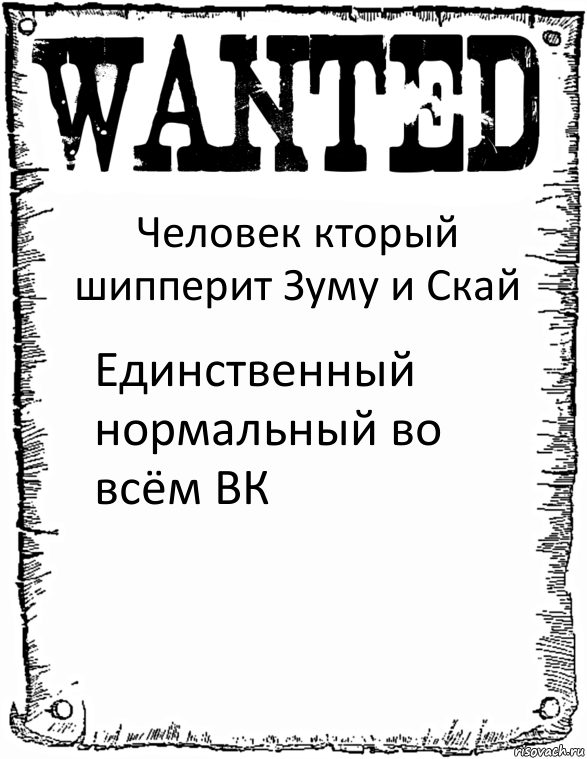 Человек кторый шипперит Зуму и Скай Единственный нормальный во всём ВК, Комикс розыск