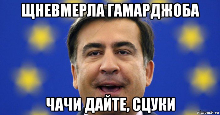 щневмерла гамарджоба чачи дайте, сцуки