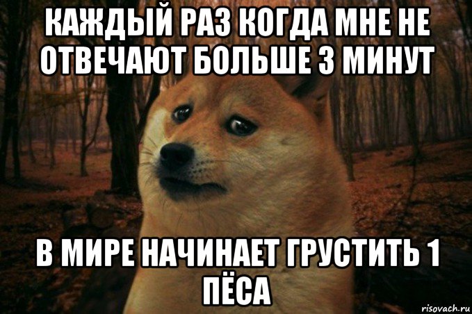 каждый раз когда мне не отвечают больше 3 минут в мире начинает грустить 1 пёса, Мем SAD DOGE