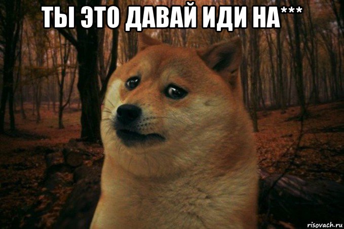 ты это давай иди на*** , Мем SAD DOGE