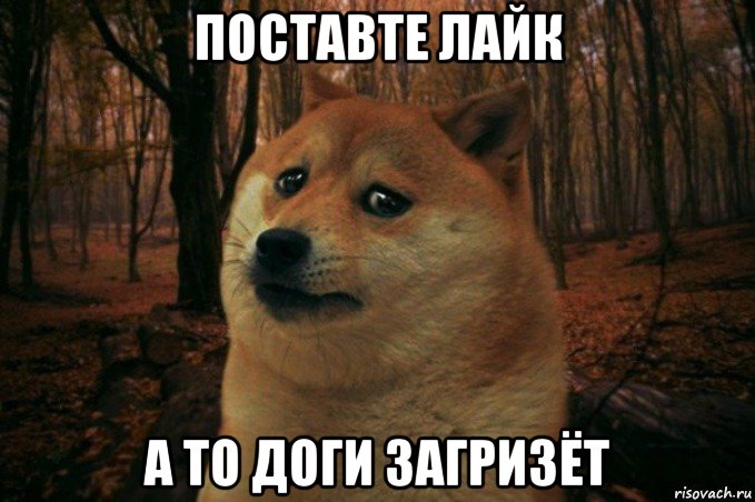 поставте лайк а то доги загризёт, Мем SAD DOGE