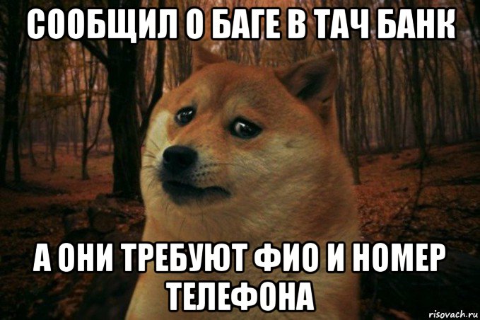 сообщил о баге в тач банк а они требуют фио и номер телефона, Мем SAD DOGE