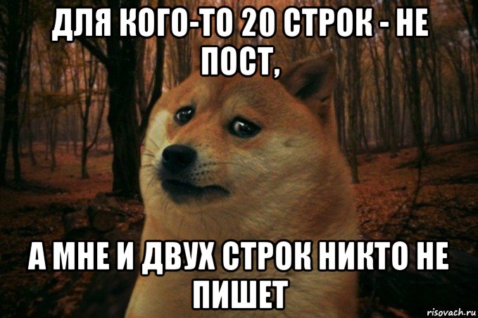 для кого-то 20 строк - не пост, а мне и двух строк никто не пишет, Мем SAD DOGE