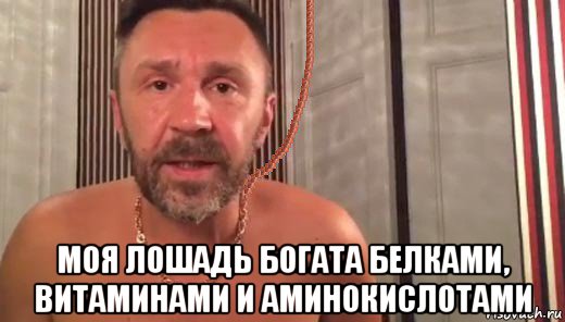  моя лошадь богата белками, витаминами и аминокислотами