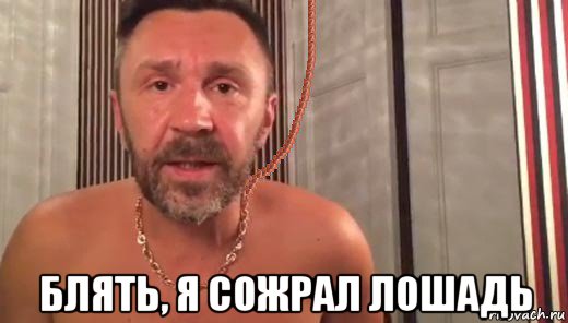  блять, я сожрал лошадь