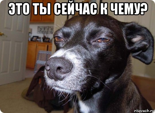 это ты сейчас к чему? 