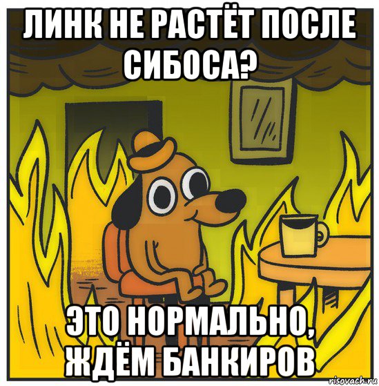 линк не растёт после сибоса? это нормально, ждём банкиров