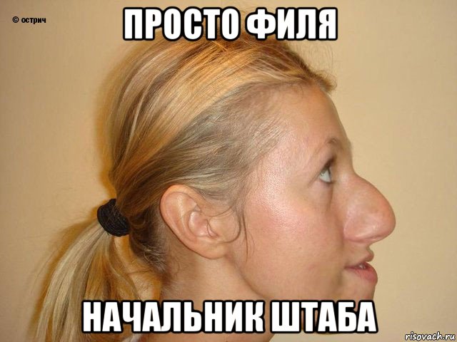 просто филя начальник штаба