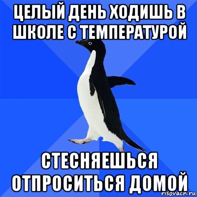 целый день ходишь в школе с температурой стесняешься отпроситься домой, Мем  Социально-неуклюжий пингвин