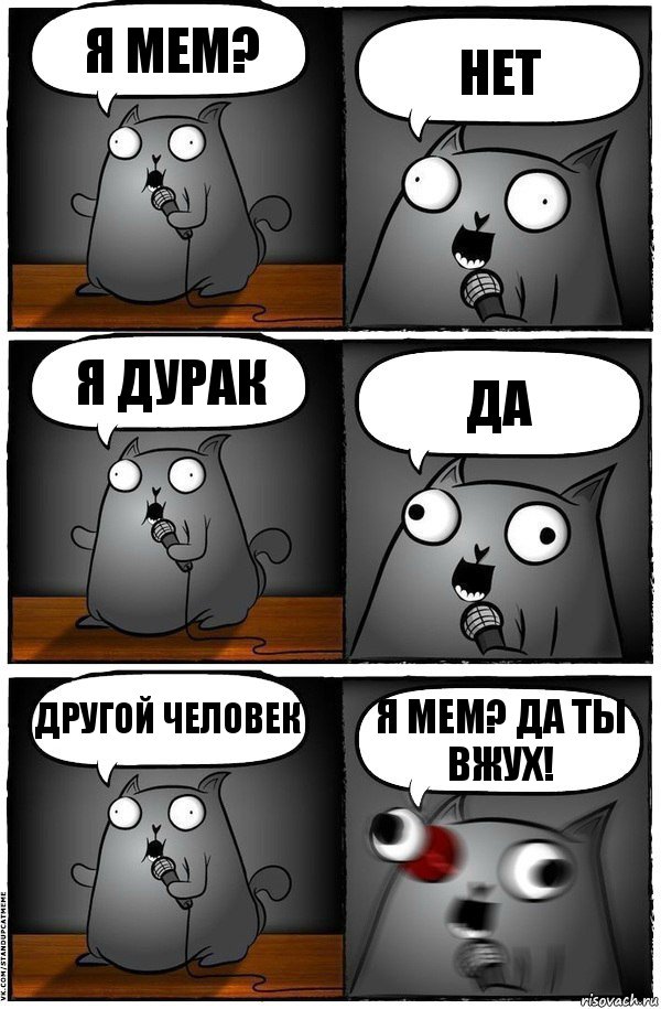 я мем? нет я дурак да другой человек я мем? да ты вжух!, Комикс  Стендап-кот