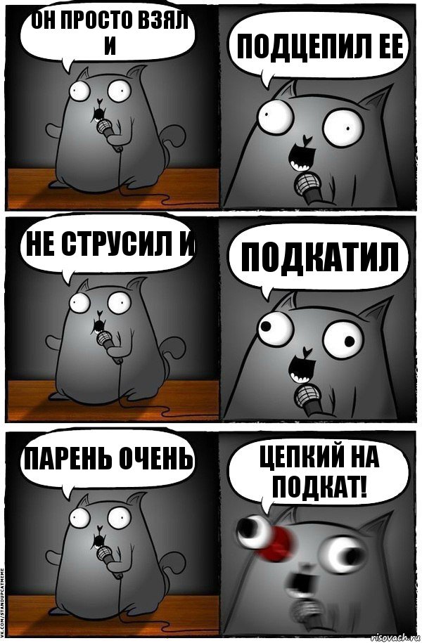 Он просто взял и ПОДЦЕПИЛ ЕЕ Не струсил и подкатил Парень очень Цепкий на подкат!, Комикс  Стендап-кот