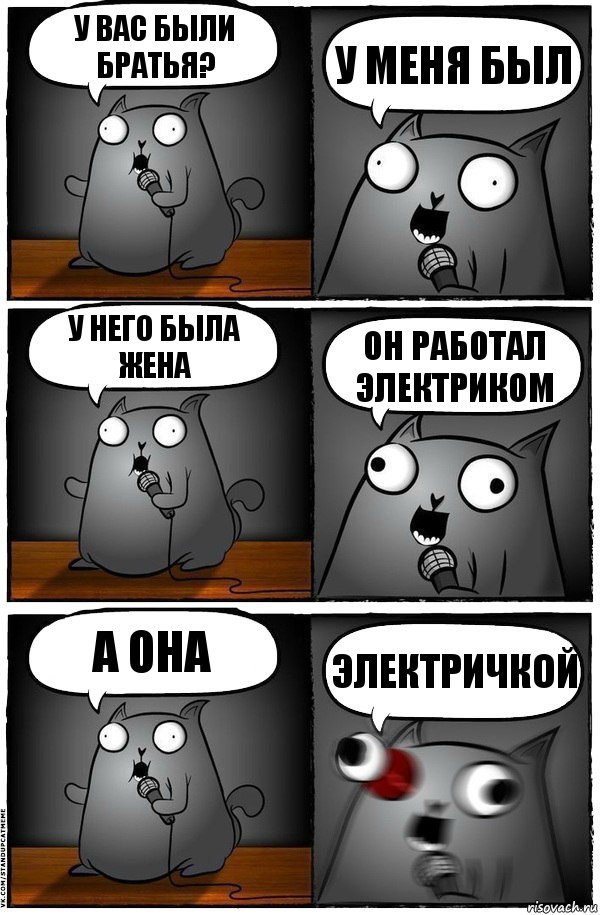 У вас были братья? У меня был У него была жена Он работал электриком А она ЭЛЕКТРИЧКОЙ, Комикс  Стендап-кот