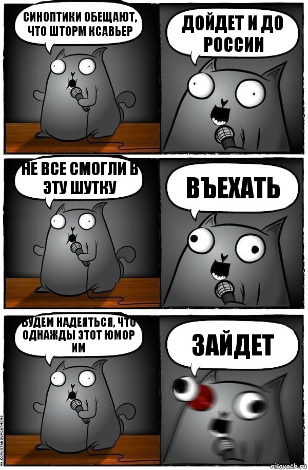 Синоптики обещают, что шторм Ксавьер Дойдет и до России Не все смогли в эту шутку Въехать Будем надеяться, что однажды этот юмор им Зайдет, Комикс  Стендап-кот