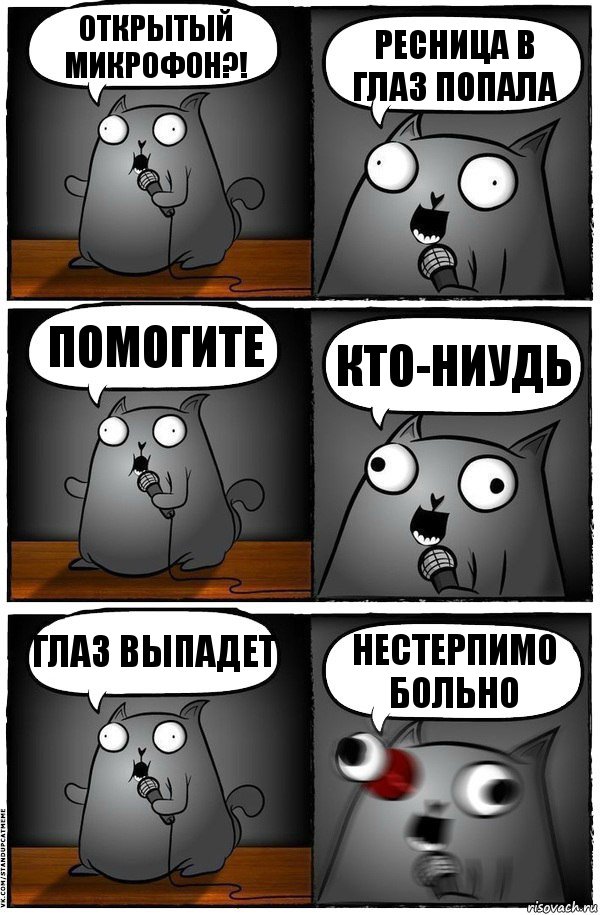 открытый микрофон?! ресница в глаз попала помогите кто-ниудь глаз выпадет нестерпимо больно, Комикс  Стендап-кот