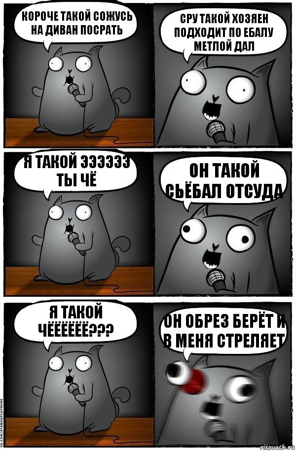 короче такой сожусь на диван посрать сру такой хозяен подходит по ебалу метлой дал я такой ээээээ ты чё он такой сьёбал отсуда я такой чёёёёёё??? он обрез берёт и в меня стреляет, Комикс  Стендап-кот