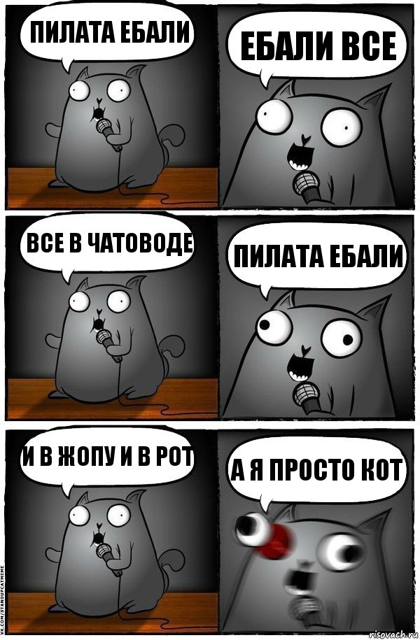 пилата ебали ебали все все в чатоводе пилата ебали и в жопу и в рот а я просто кот, Комикс  Стендап-кот