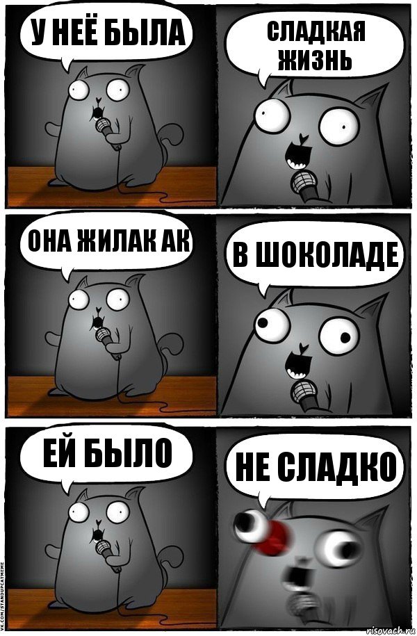 У неё была сладкая жизнь она жилак ак в шоколаде ей было не сладко, Комикс  Стендап-кот