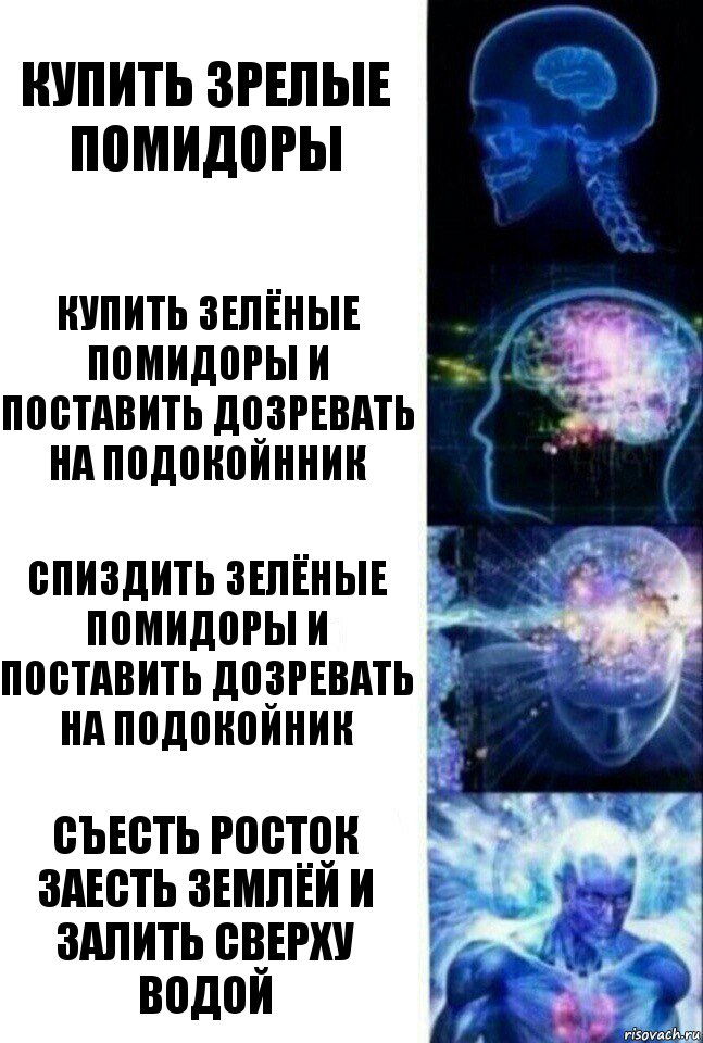 Купить зрелые помидоры купить зелёные помидоры и поставить дозревать на подокойнник спиздить зелёные помидоры и поставить дозревать на подокойник Съесть росток заесть землёй и залить сверху водой, Комикс  Сверхразум