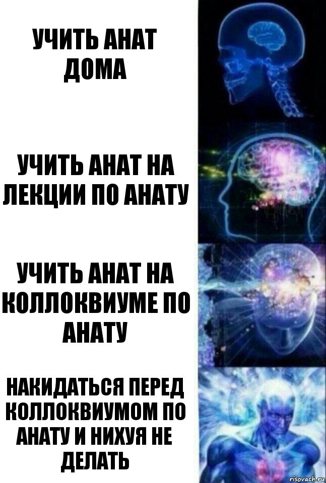 Учить анат дома Учить анат на лекции по анату Учить анат на коллоквиуме по анату Накидаться перед коллоквиумом по анату и нихуя не делать, Комикс  Сверхразум