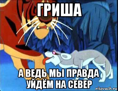 гриша а ведь мы правда уйдём на север