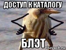 доступ к каталогу блэт
