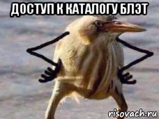 доступ к каталогу блэт 