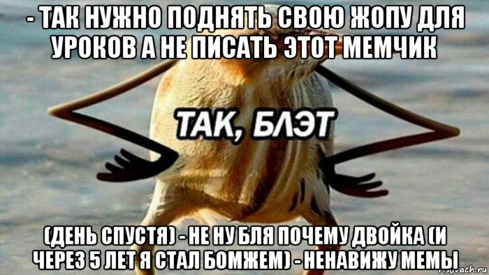 - так нужно поднять свою жопу для уроков а не писать этот мемчик (день спустя) - не ну бля почему двойка (и через 5 лет я стал бомжем) - ненавижу мемы, Мем  Так блэт