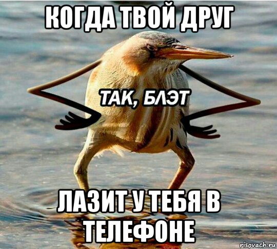 когда твой друг лазит у тебя в телефоне