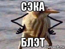 сэка блэт
