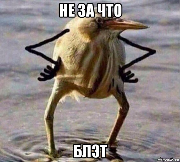 не за что блэт, Мем Так Блэт