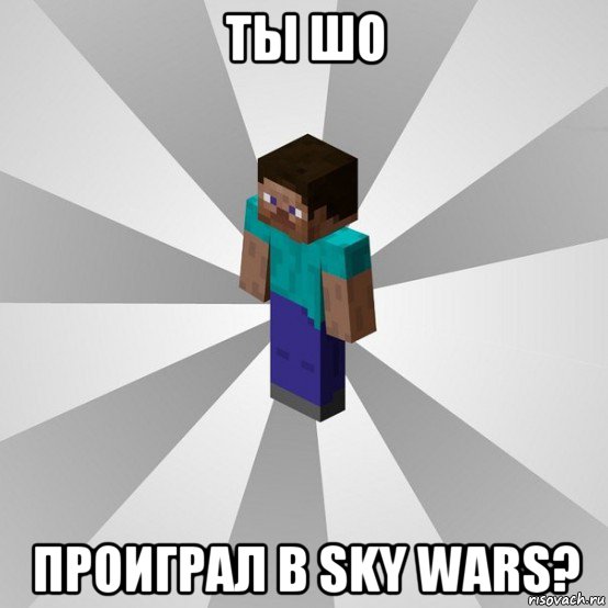 ты шо проиграл в sky wars?, Мем Типичный игрок Minecraft