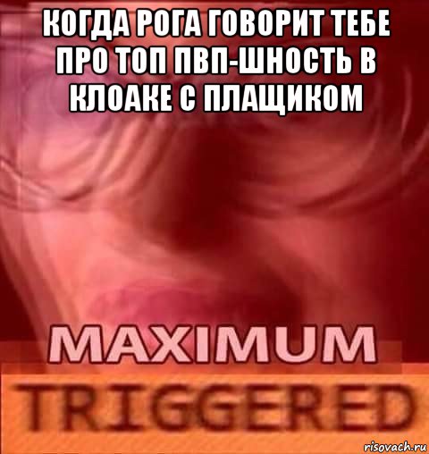 когда рога говорит тебе про топ пвп-шность в клоаке с плащиком 