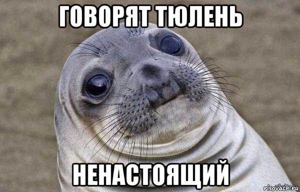 говорят тюлень ненастоящий