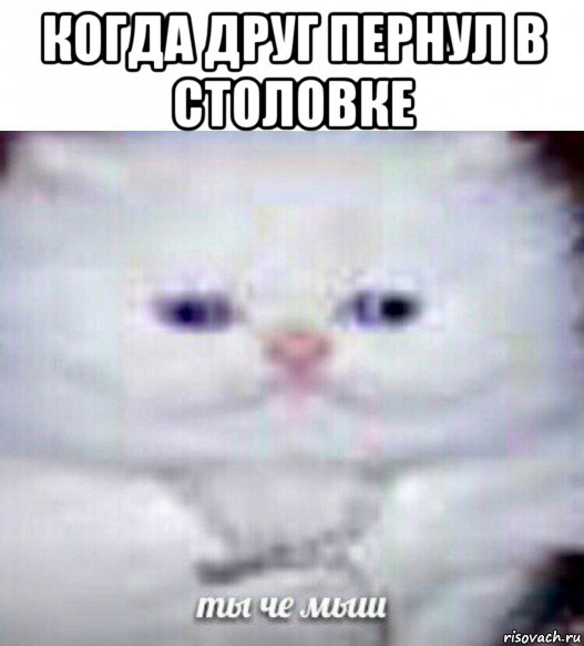 когда друг пернул в столовке 