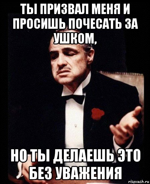 ты призвал меня и просишь почесать за ушком, но ты делаешь это без уважения, Мем ты делаешь это без уважения