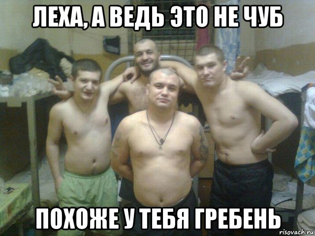 леха, а ведь это не чуб похоже у тебя гребень