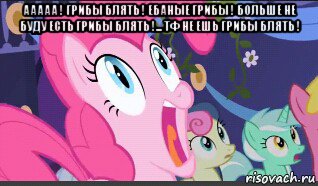 ааааа ! грибы блять ! ебаные грибы ! больше не буду есть грибы блять !... тф не ешь грибы блять ! 