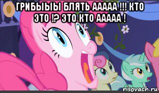 грибыыы блять ааааа !!! кто это !? это кто ааааа ! 