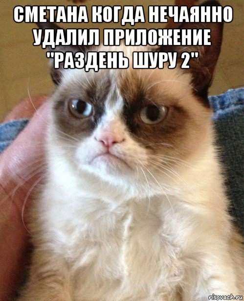 сметана когда нечаянно удалил приложение "раздень шуру 2" , Мем Угрюмый кот