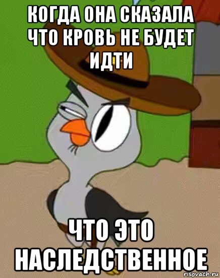 когда она сказала что кровь не будет идти что это наследственное, Мем    Упоротая сова