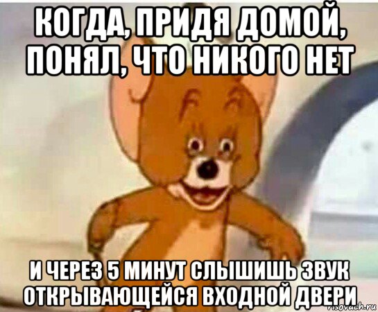 когда, придя домой, понял, что никого нет и через 5 минут слышишь звук открывающейся входной двери