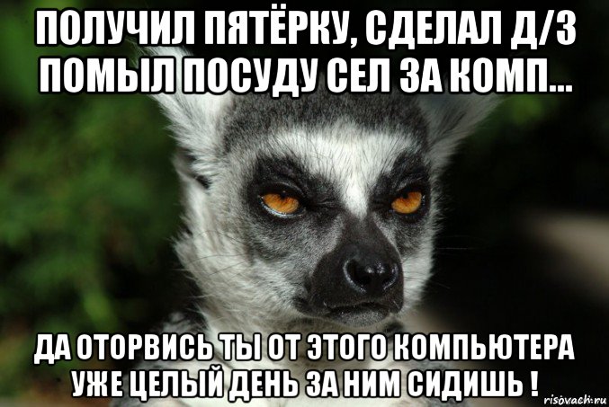 получил пятёрку, сделал д/з помыл посуду сел за комп... да оторвись ты от этого компьютера уже целый день за ним сидишь !, Мем   Я збагоен