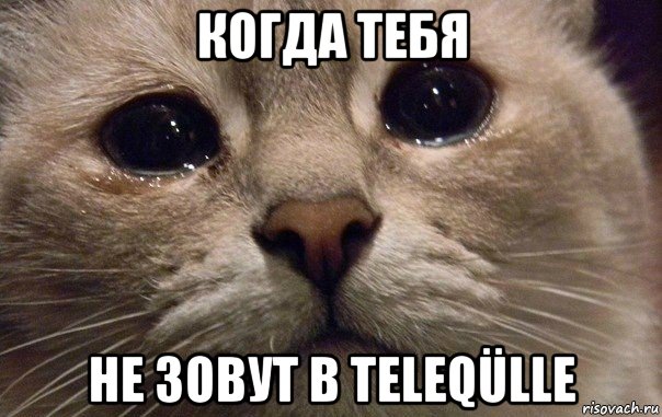 когда тебя не зовут в teleqülle, Мем   В мире грустит один котик