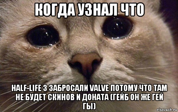 когда узнал что half-life 3 забросали valve потому что там не будет скинов и доната (гейб он же гей гы), Мем   В мире грустит один котик